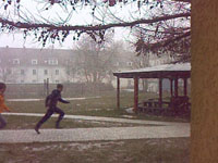 Schnee-schein